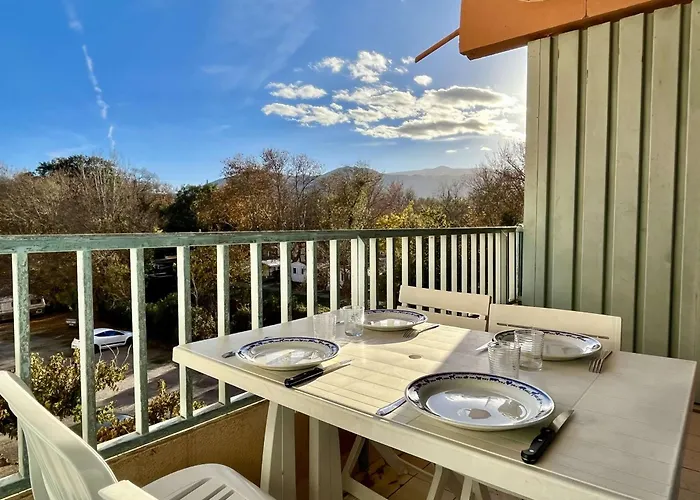 Studio Renove, Loggia Ensoleillee, 200M De La Plage, Animaux Permis - Argeles-Sur-Mer - Fr-1-225-116
