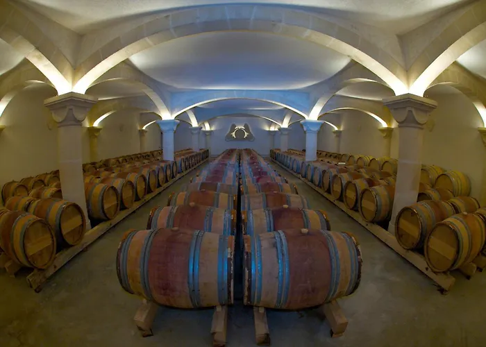 Château Saint Martin De La Garrigue
