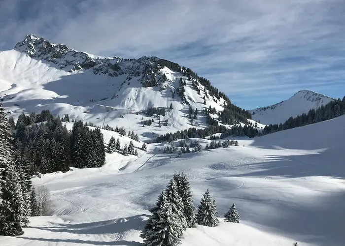  Chalet Les 3 Ours By Leavetown Vacations