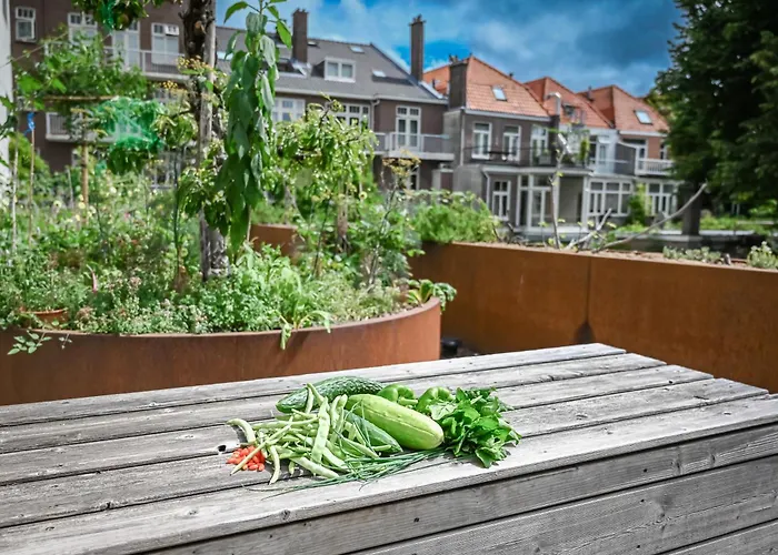 Hôtel central: Court Garden Hotel
