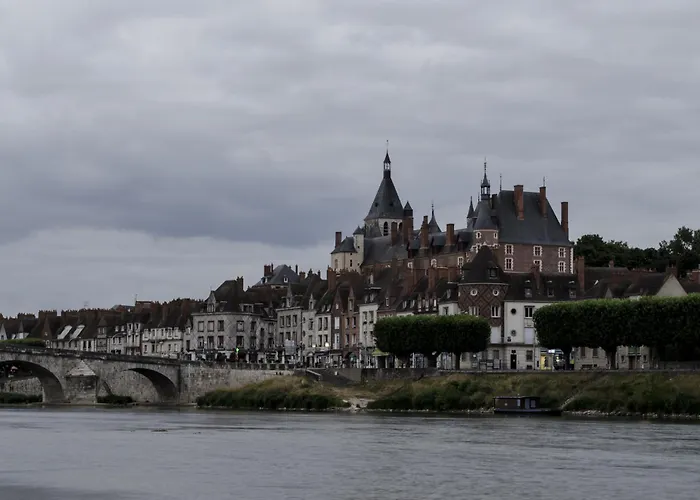 Chambre D'Hotes Face A Briare