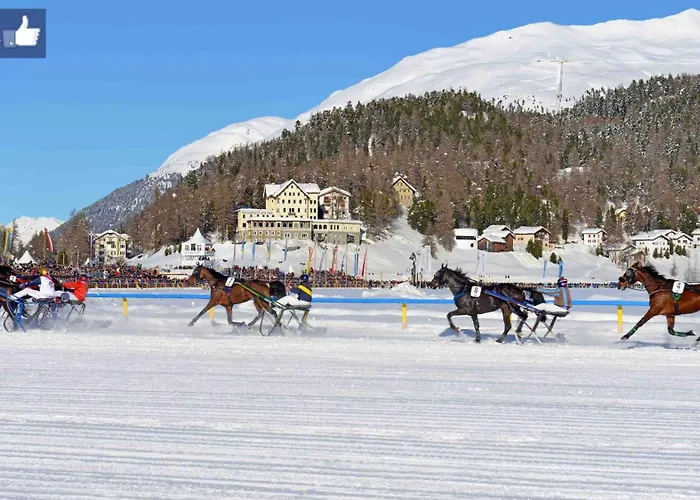 Hôtel romantique: Hotel Waldhaus Am See