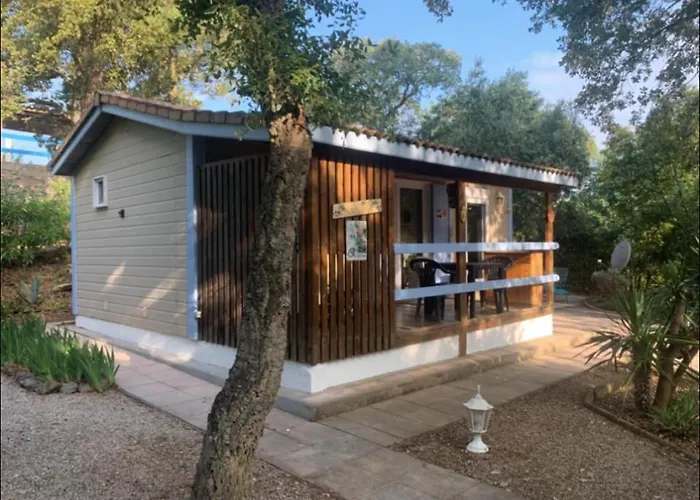 Chalet à Gassin au calme sous les pins