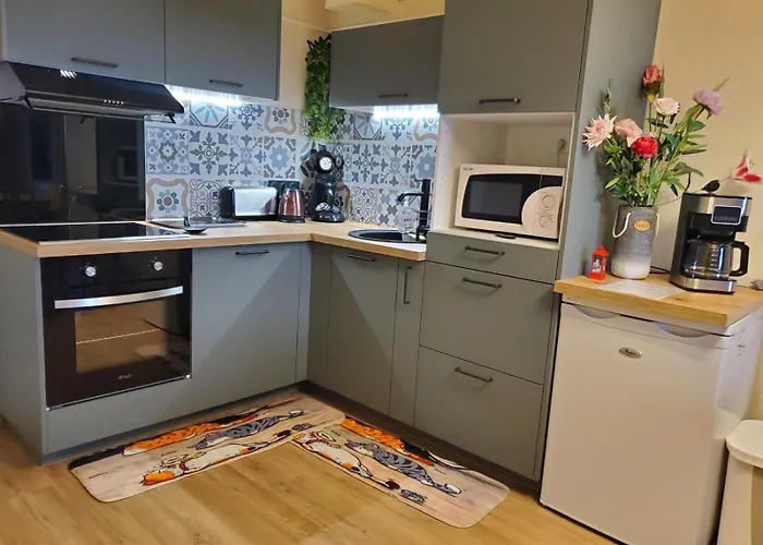Bel appartement spacieux 44m² à SUPER BESSE pour 6 personnes