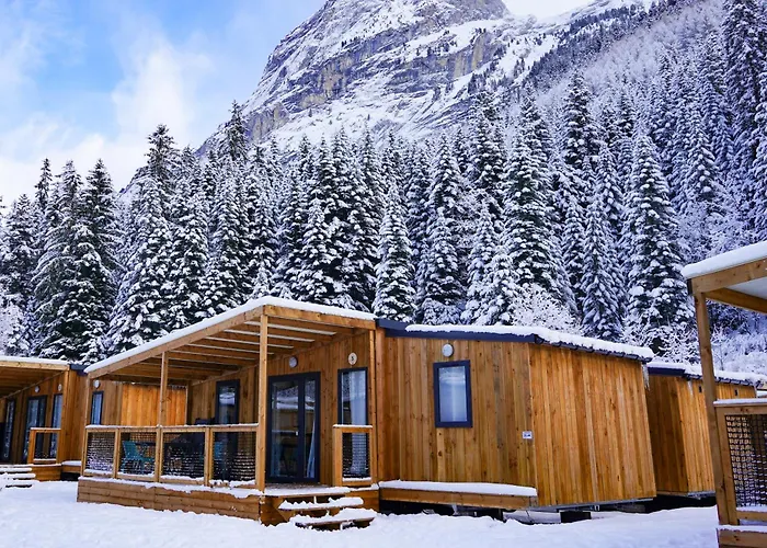 Hôtel avec vue: Epicéa Lodge Hotel Restaurant Bar