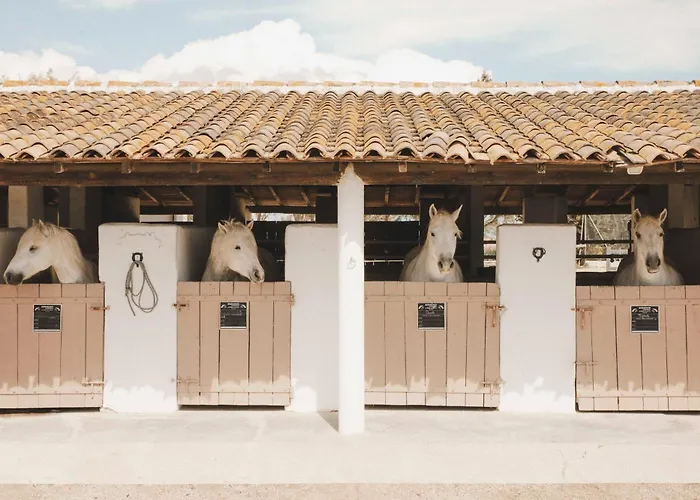 Hôtel pour familles: Auberge Cavaliere du Pont des Bannes