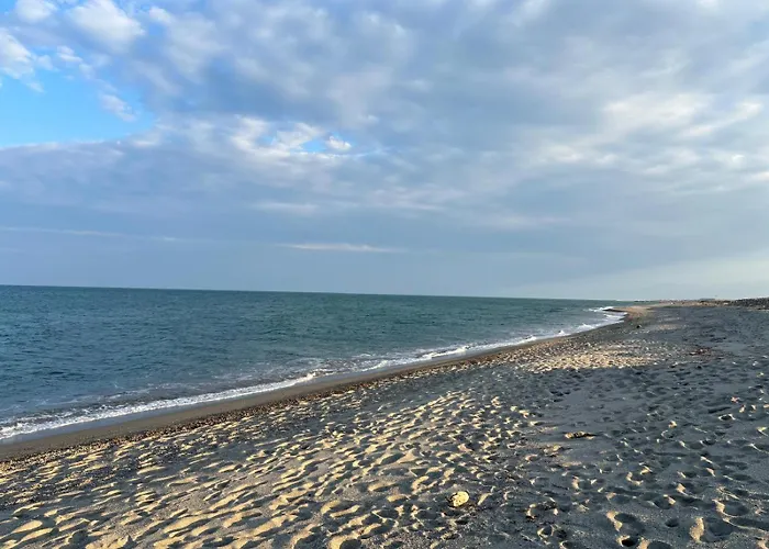 Mobil-home les pieds dans l'eau camping LES DUNES 5'