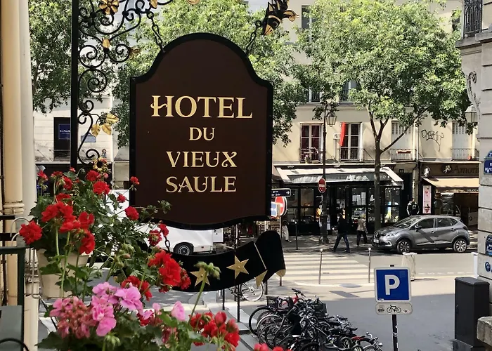 Du Vieux Saule