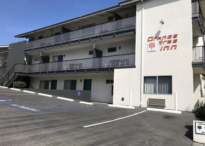 Motel: Orange Tree Inn