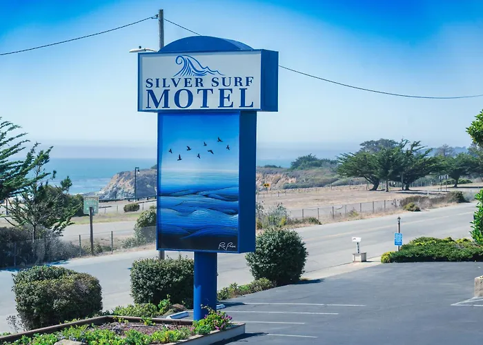 Silver Surf