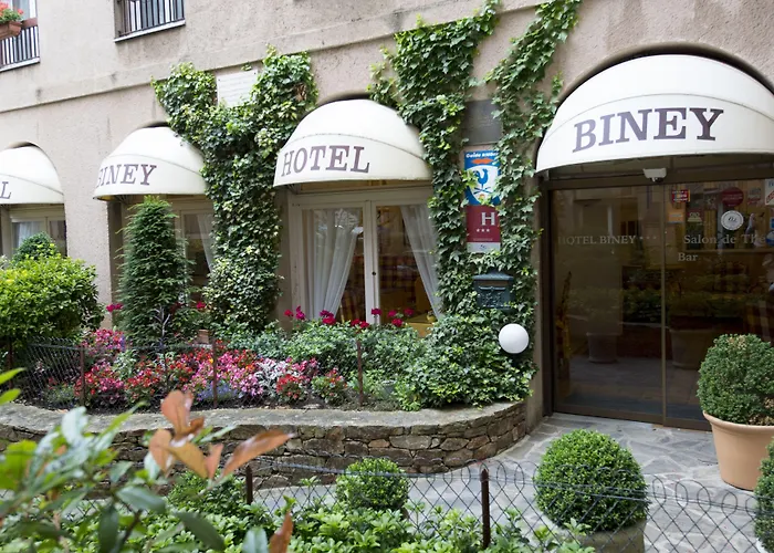 Hôtel 3 étoiles: Hotel Biney