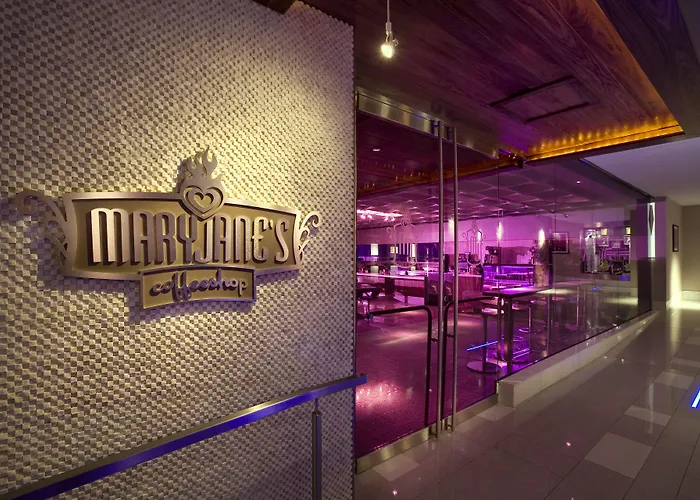 Motel: Hard Rock Hotel San Diego