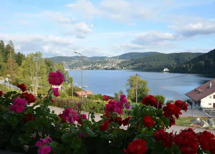 Hôtel bon marché: Les Reflets du Lac