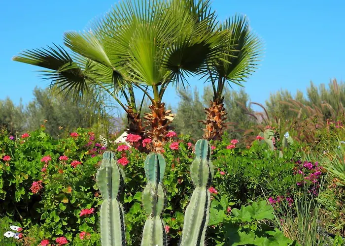 Le Relais De Marrakech