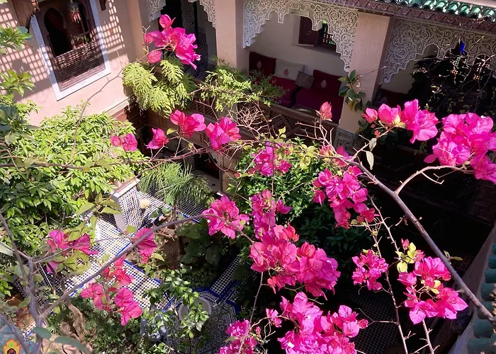 Riad Toyour- Riad Of Birds