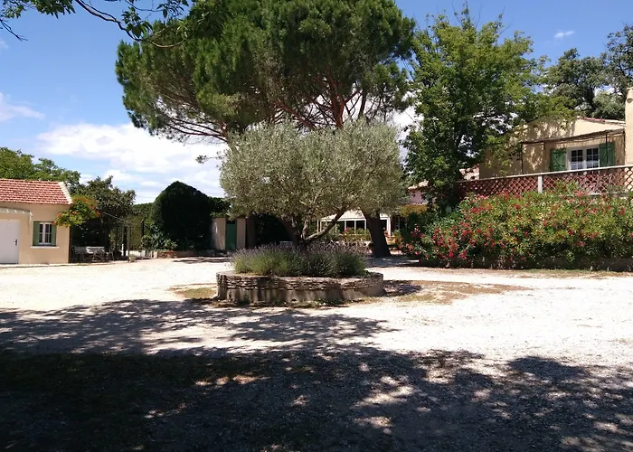 Le Chêne Vert