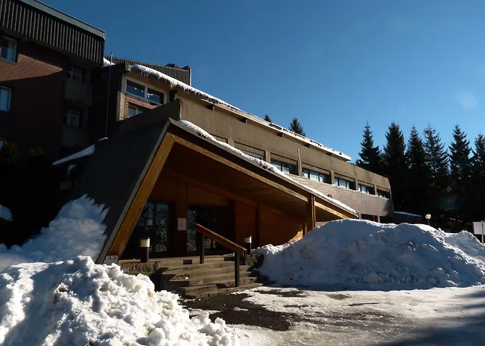 VVF Villages   Massif du Sancy   Super-Besse