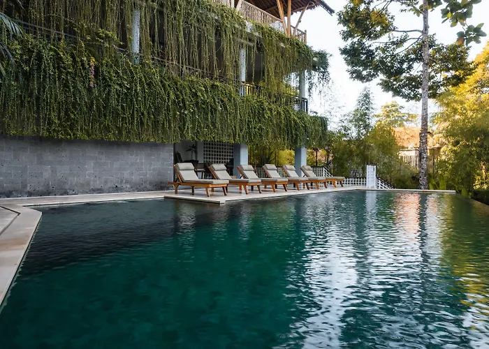  Dinara Ubud