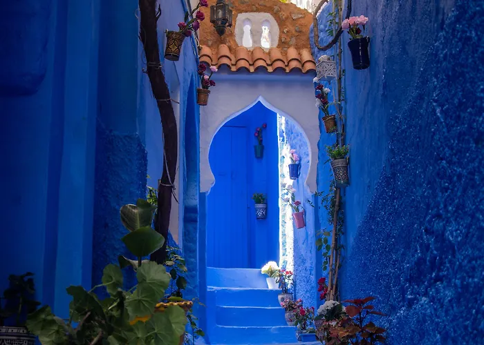 Casa Blue Star