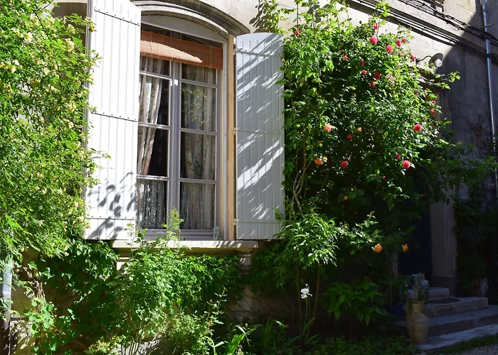 Maison d'hôtes: Cocooning Avignon