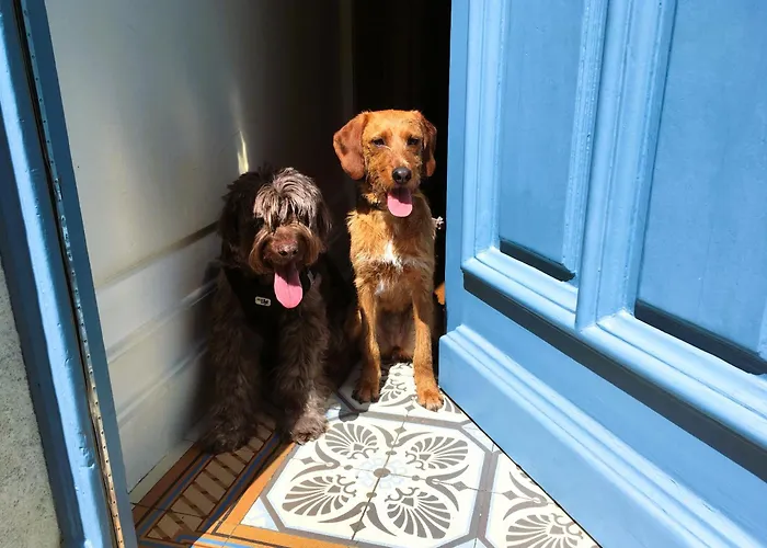 C'est Une Maison Bleue - A Blue Lodge In