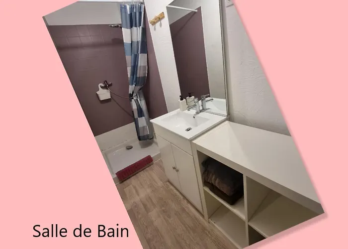 Cœur de ville, T2, rue piétonne, Digne les Bains