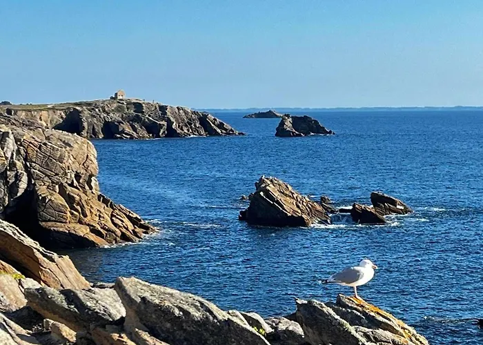 Quiberon : Appartement 2P 36m² proche plage avec WIFI - FR-1-478-50