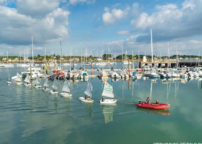 La Trinité/Mer, appt spacieux 4p, 100m², 3 ch, wifi, animaux admis - FR-1-477-79