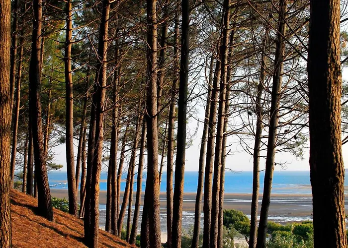 T2 Cabine 35m2 Au Port D'Arcachon Avec Balcon Et Parking Sécurisé - FR-1-420-28