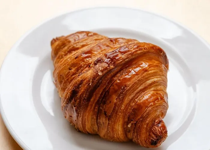 Hotel Ours Blanc - Centre