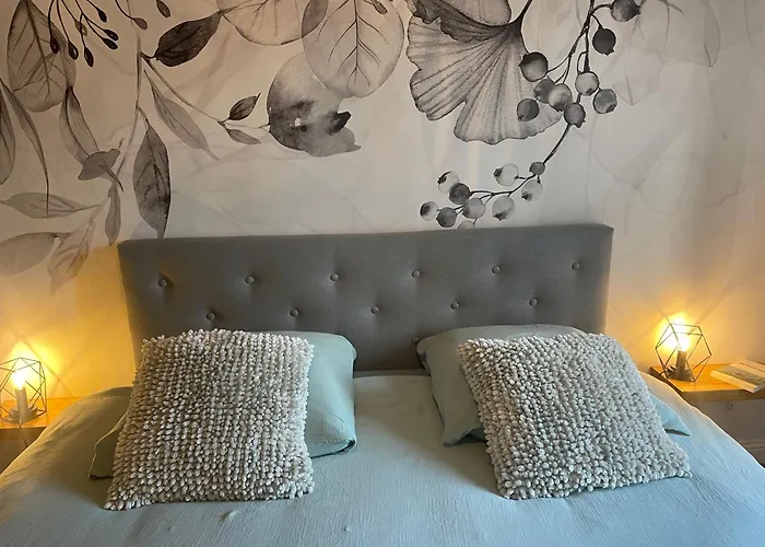 VerOliv Appartement calme et cosy proche du centre ville - Lit 180 - Wifi Netflix Youtube