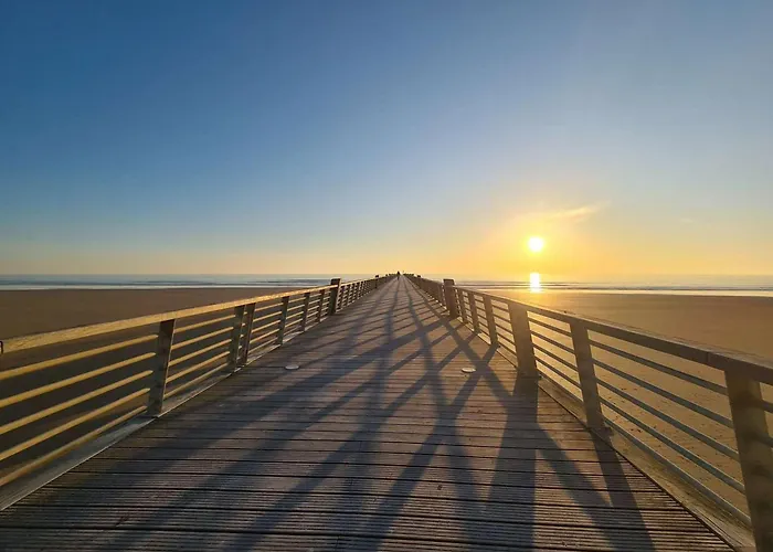 Charmant Studio Renove A 50M De La Plage Avec Terrasse Et Parking - Fr-1-224C-82