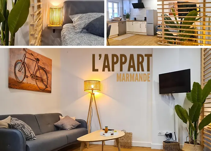 Magnifique appartement rénové plein centre-ville