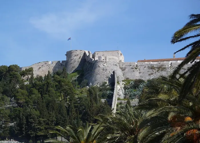 Delfin Hvar