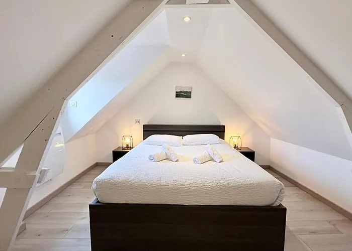 Le Nid Des Grands Geais