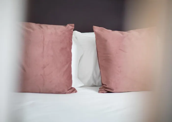 Hôtel pour familles: Hôtel Prince Albert Concordia