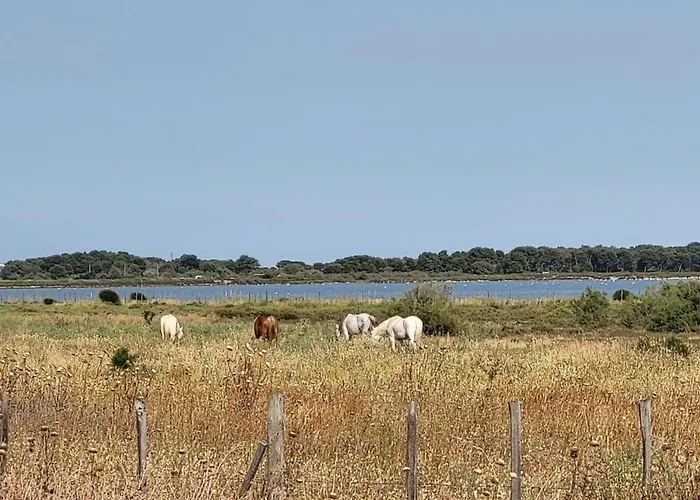 La Cigale de Mer 100m de la Plage et du Centre Ville du Grau du Roi