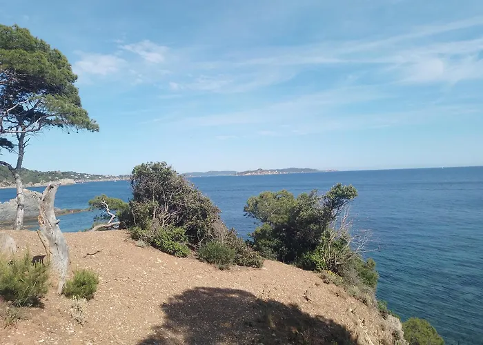 Tres Beau T1