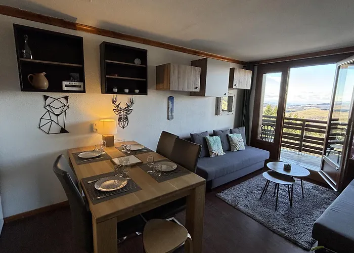 Lama-Gîte-des-Puys T3 Lamadalet, vue sud, terrasse, parking privé