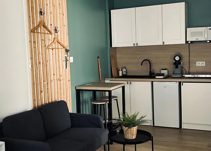 Studio refait à neuf avec jardin Aigues Mortes