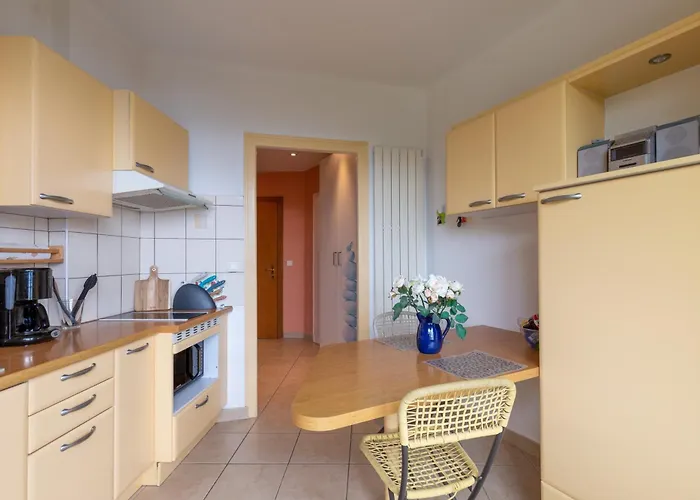 Appartement 2p au Belvédère