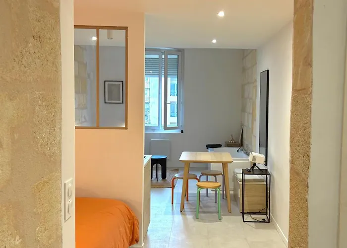 Studio ultra centre libourne - jacuzzi&vidéoprojecteur