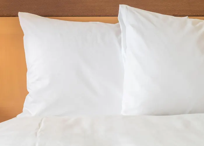 Holiday Inn Express Lille Centre By Ihg