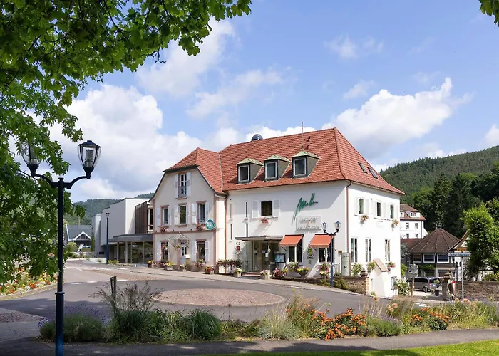 Hôtel avec piscine: Logis Hotel Restaurant Muller