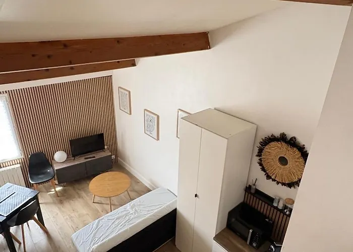 Villa Royale - T1 Bis De 31M2 - Proche Centre Ville