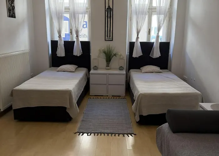 Viktorija City Center Apartment