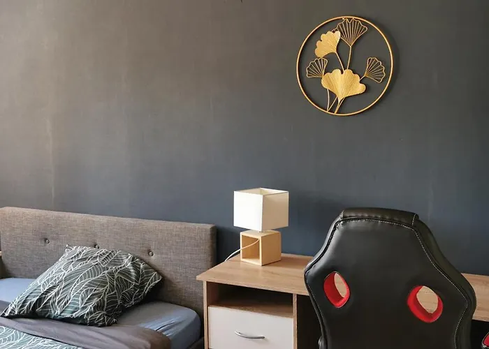 Chambre Privee Dans Appart Partage, Centre Ville, Avec Vue Sur Les Monuments