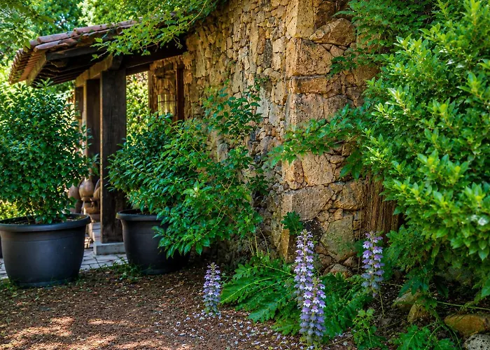Salvacintoggio -Votre Villa avec Piscine Privée-