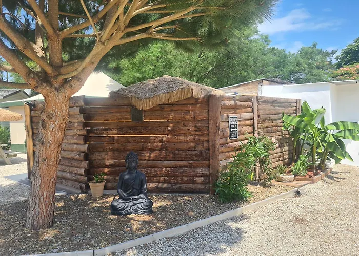 Gîte insolite vue sur le ciel étoilé , cuisine, salle d eau, 2 chambres , proche du zoo de La Palmyre