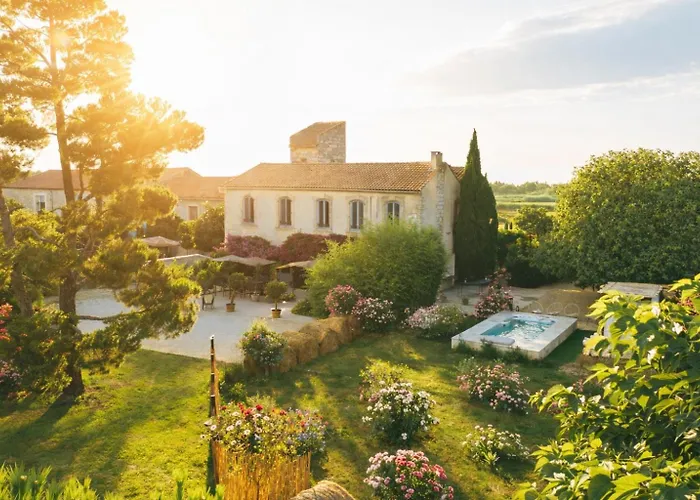 Maison Tara verte au Mas Montredon